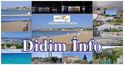 Didim Hakkında