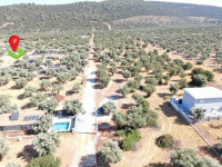 Didim Akyeniköy Kardelen Arsası Villa İmarlı