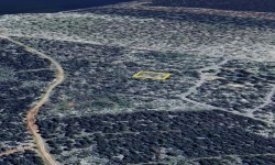 Didim Akyeniköy Satılık 600m² İmarlı Villa Arsası